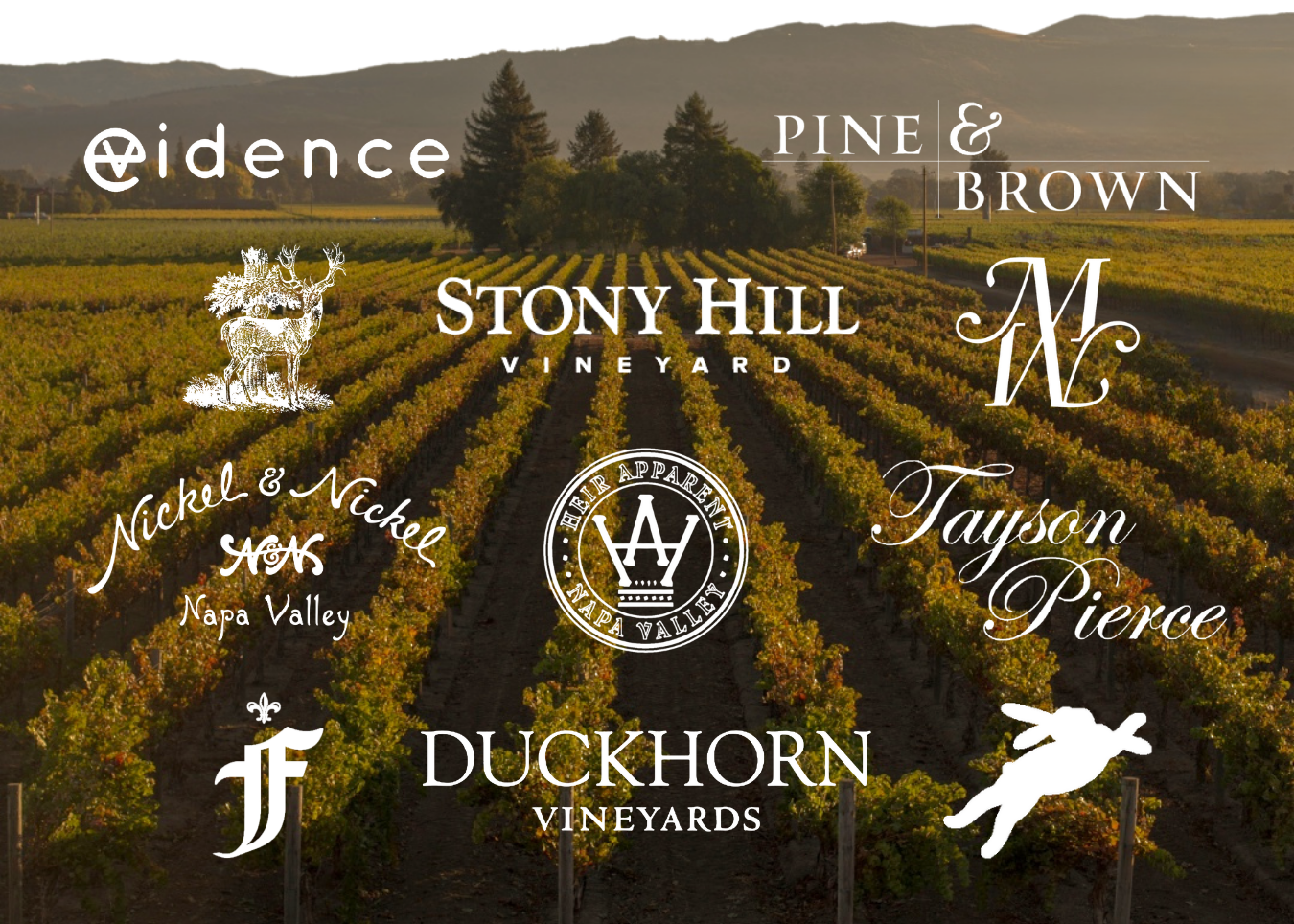 Top-Rated Cabernet: Duckhorn Vineyards, Stag's Leap Wine Cellars, and MORE