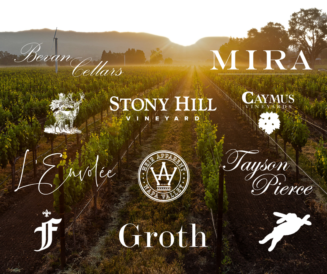Top-Rated Cabernet: Groth, Firefly Vineyard, Stag's Leap Wine Cellars, and MORE