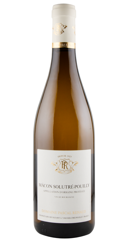 White Burgundy Mâcon Solutré-Pouilly 2024 Domaine Pascal Renaud