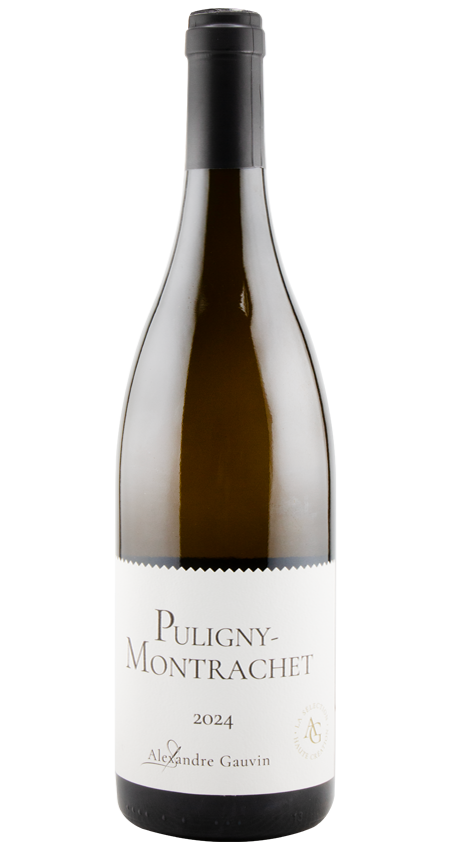 Alexandre Gauvin Puligny-Montrachet 2024